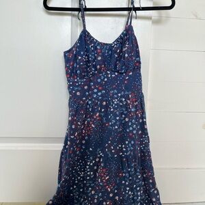 Japna Blue and Red Floral Dress